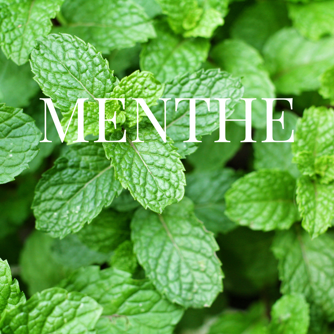 Kit Menthe Verte