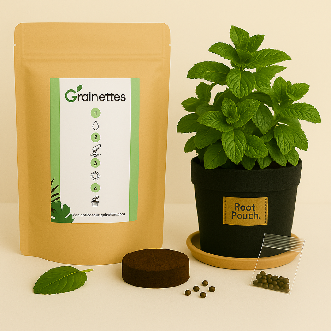 Kit Menthe Verte