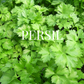 Kit Persil Commun