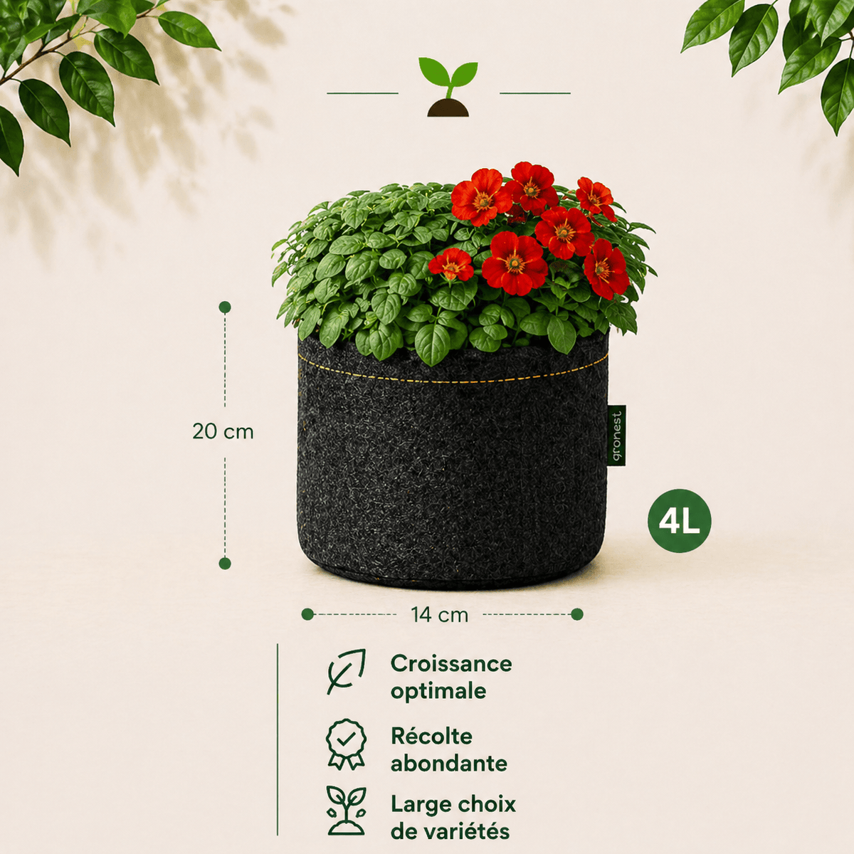 Kit Dolce Vita : Basilic nain + Capucine naine 4 L