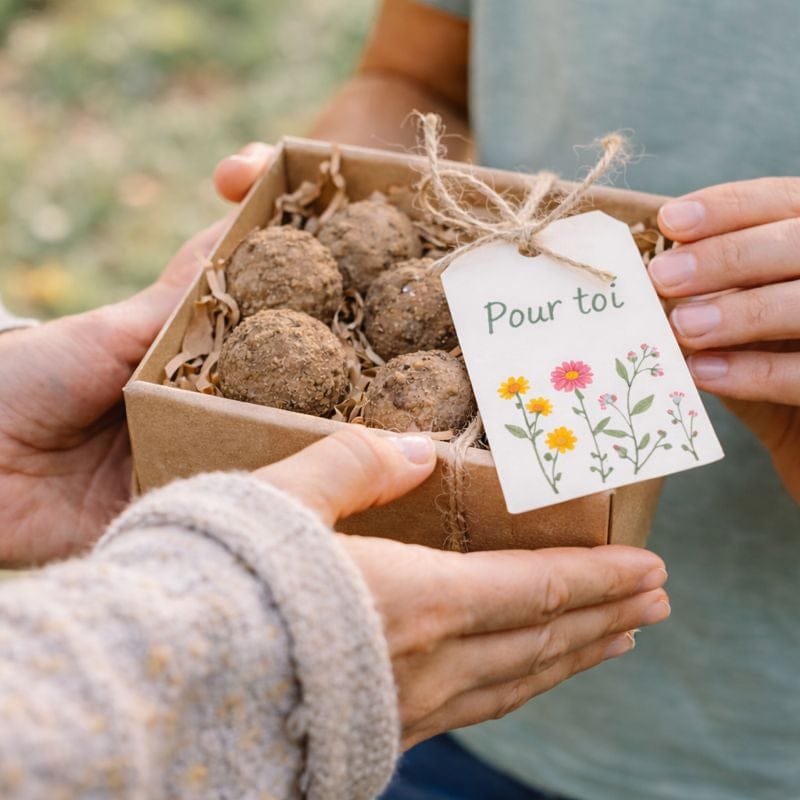 Coffret cadeau de bombes à graines naturelles avec étiquette "Pour toi", idée cadeau écologique et fleurie. Image