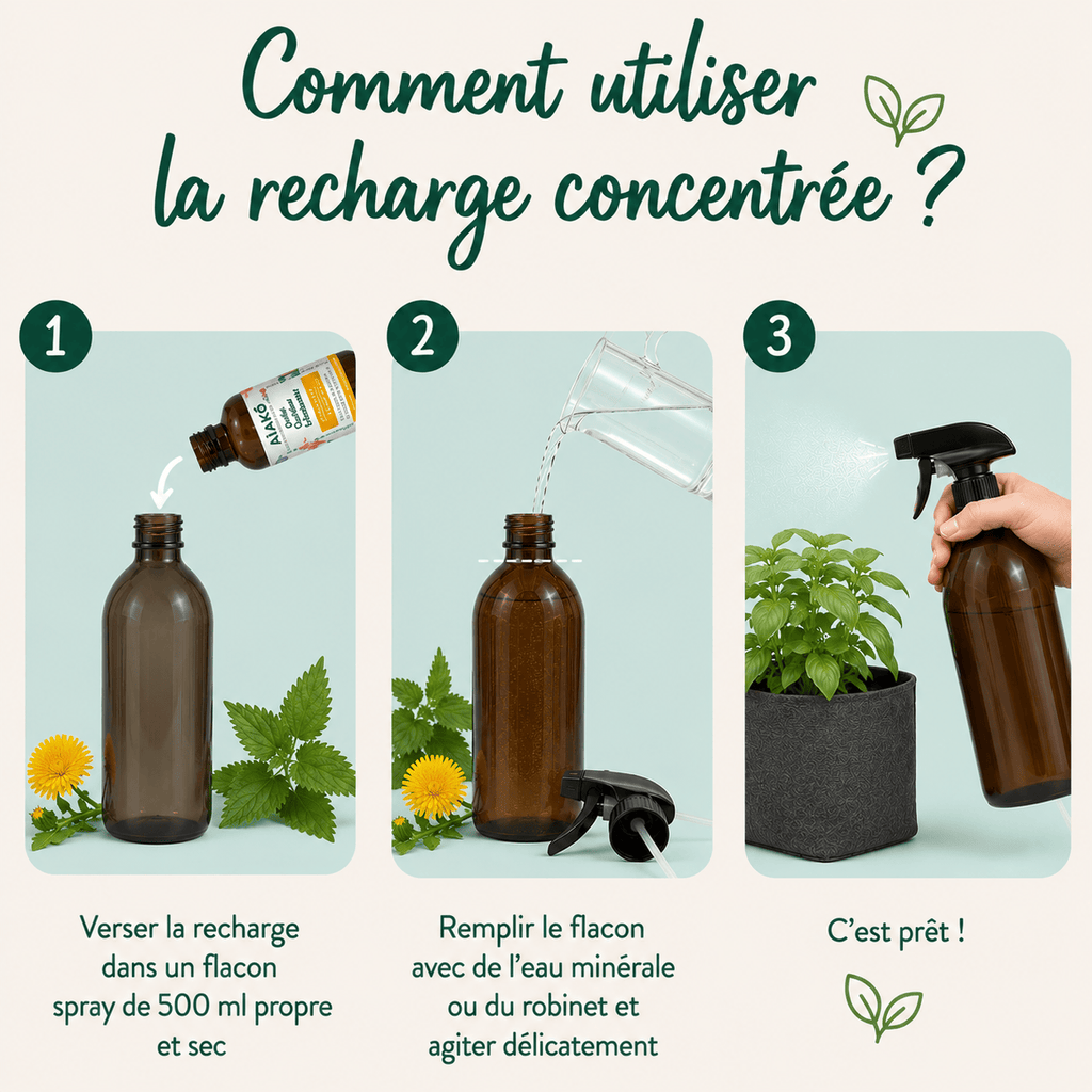 Concentré Croissance "Aiako" 30 ml