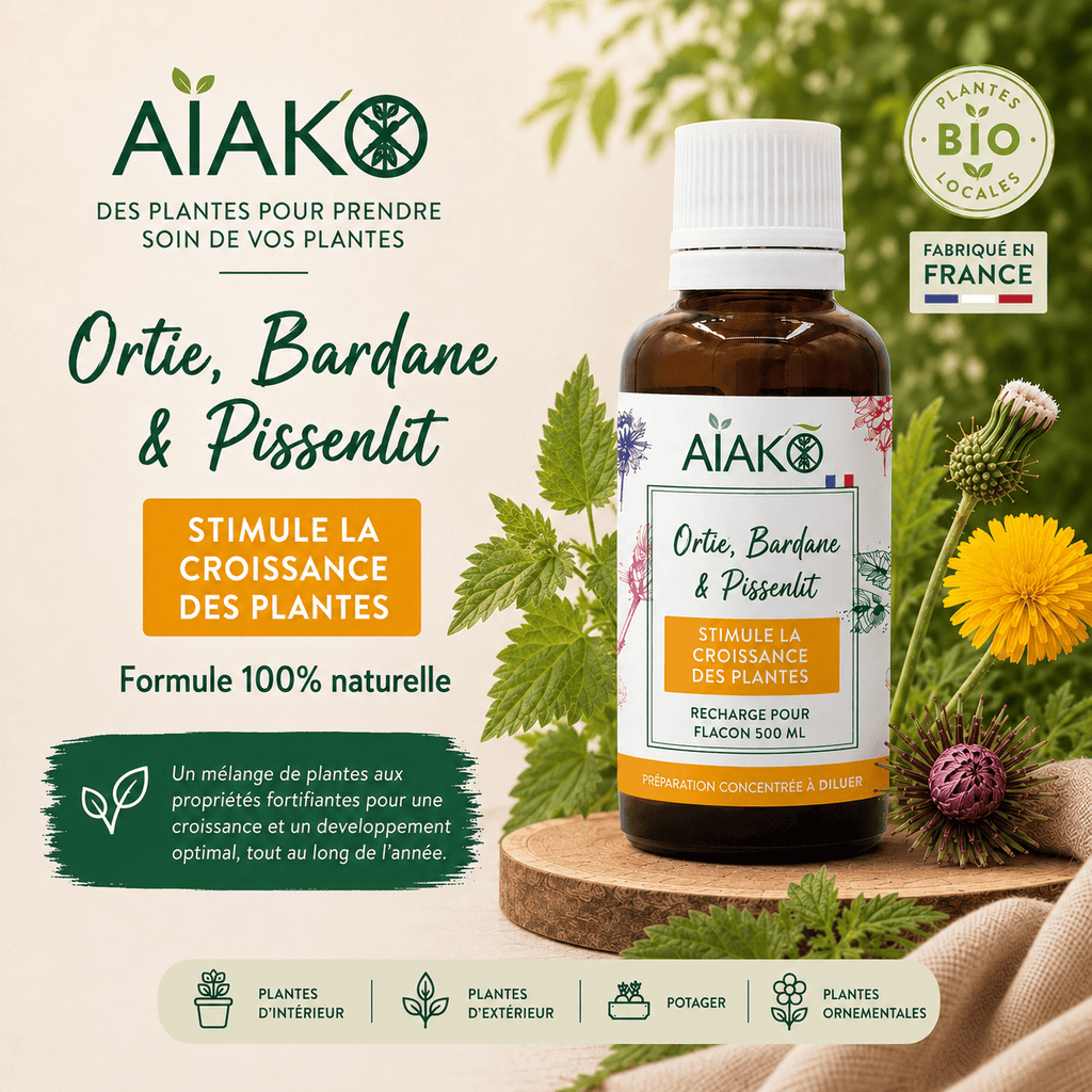 Concentré Croissance "Aiako" 30 ml
