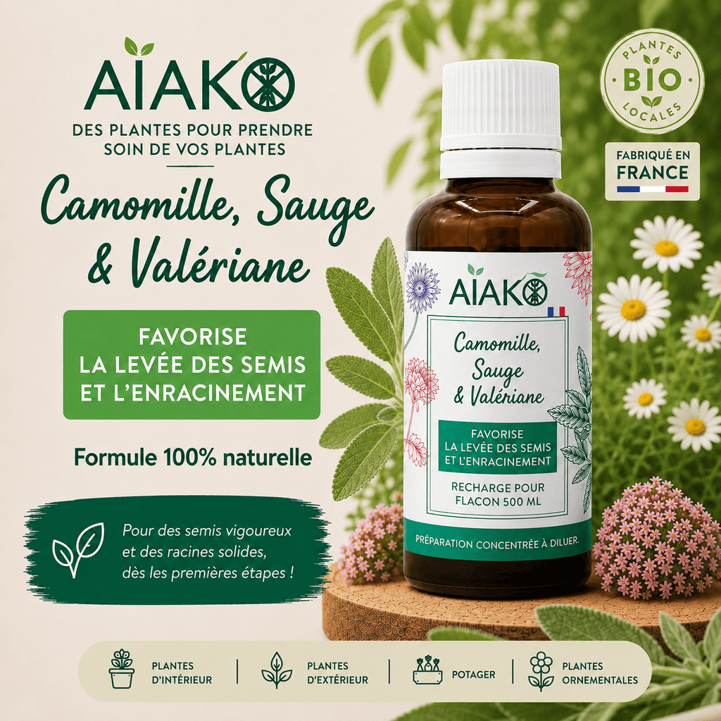Concentré Levée des semis "Aiako" 30 ml