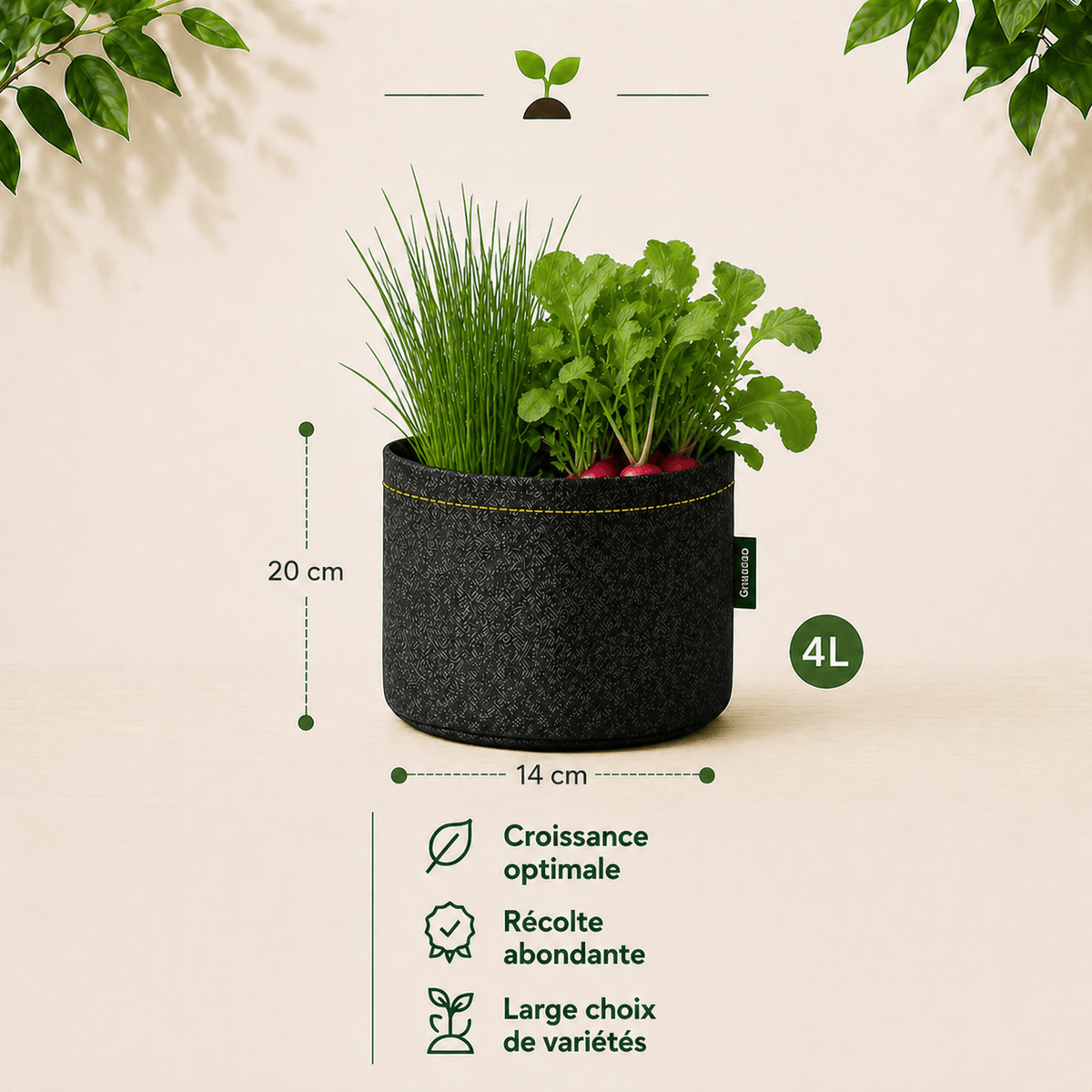 Kit Apéro : Ciboulette + Radis 4 L