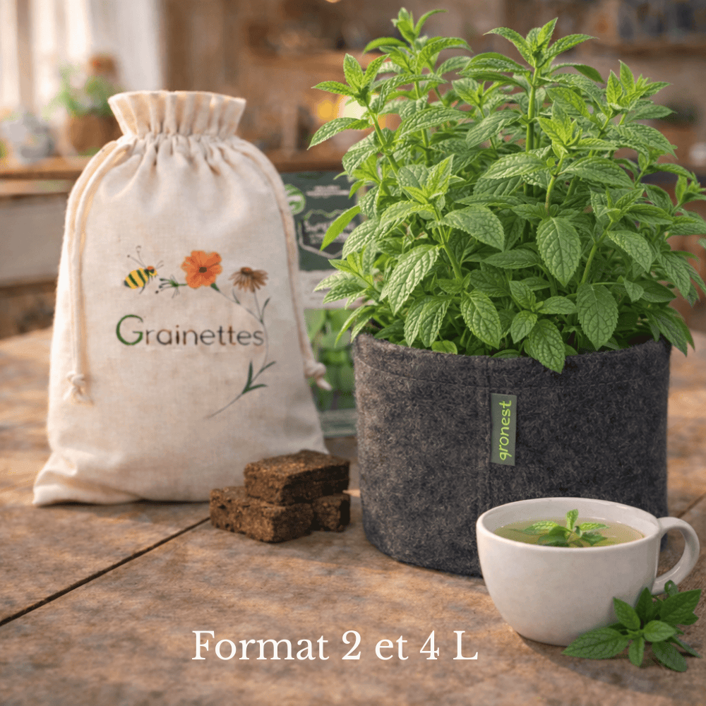 Kit Aromatique - Menthe Verte Biologique 2 L