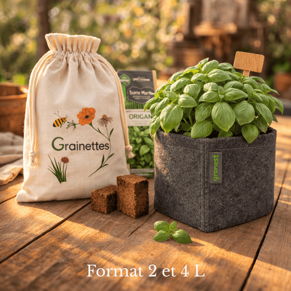  Kit Basilic Bio - Herbes Aromatiques 2 L