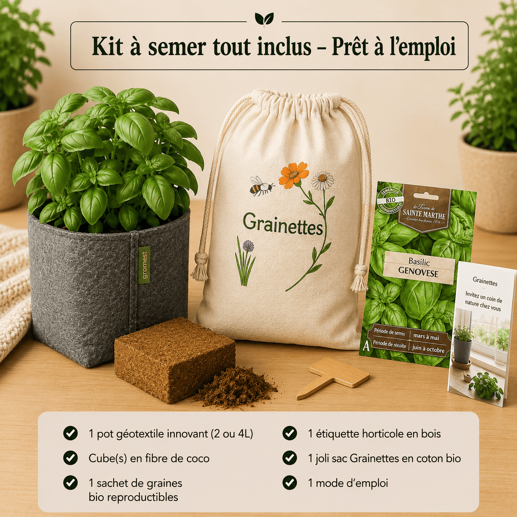 Kit basilic nain bio