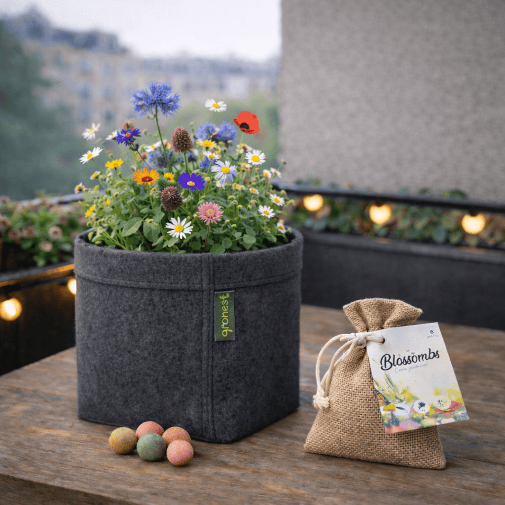 kit bombes à graines Biodiversité 4 L