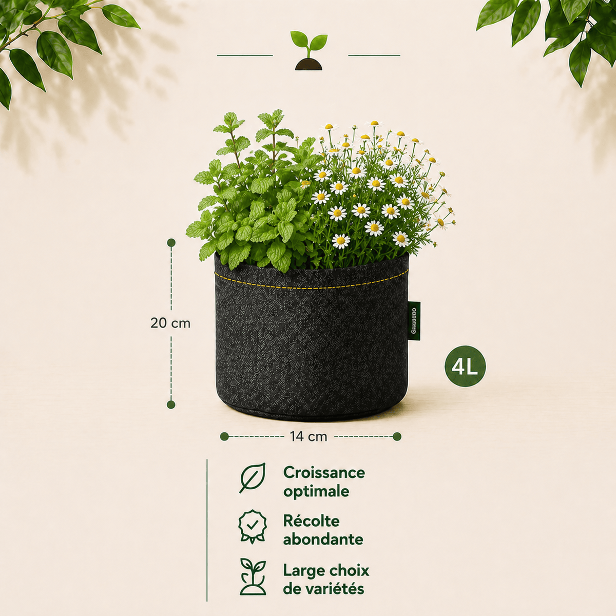 Kit Bonne nuit : Mélisse + Camomille 4 L