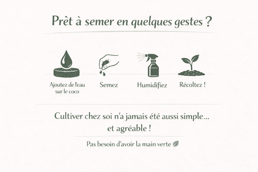 Kit bourrache bio 4 L