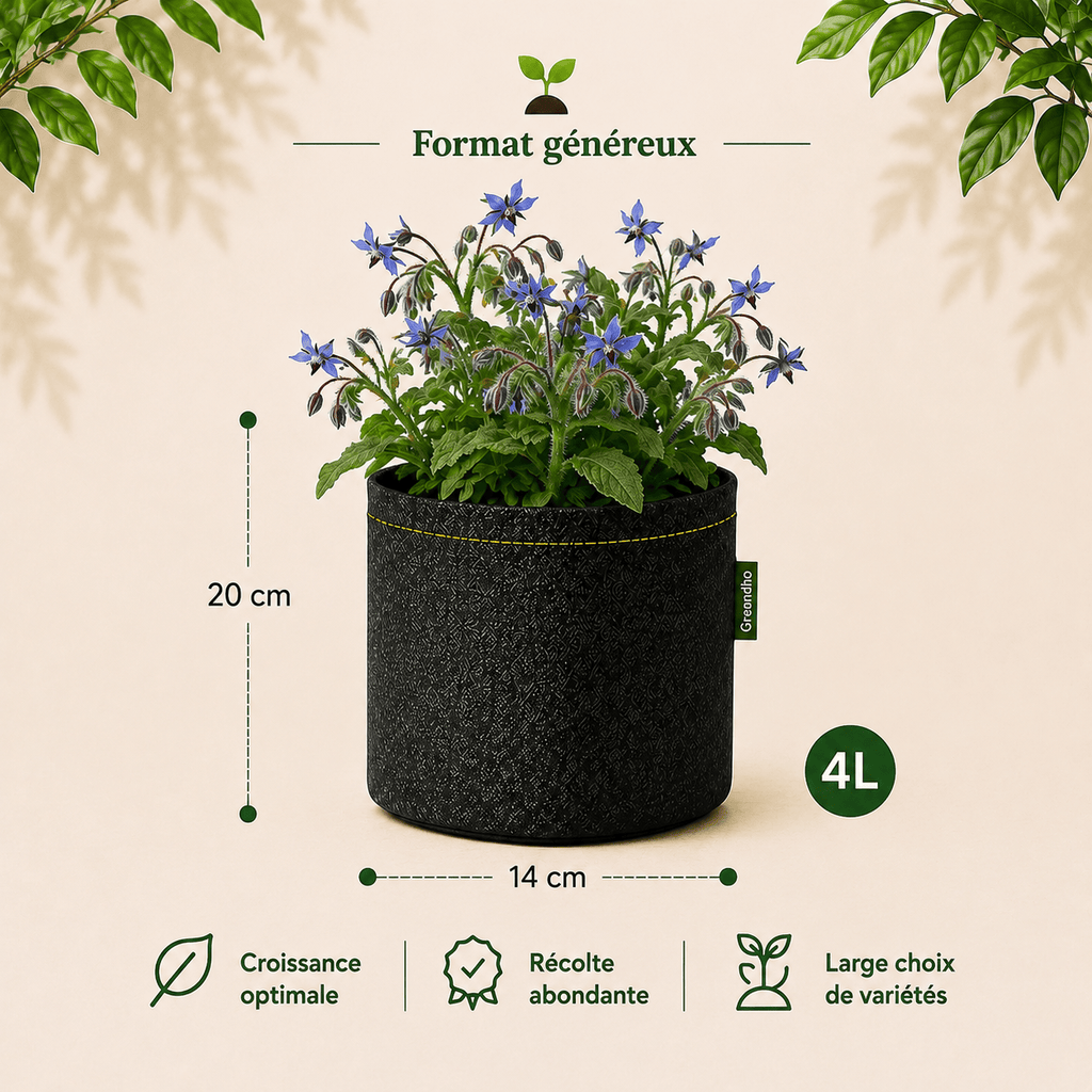 Kit bourrache bio 4 L