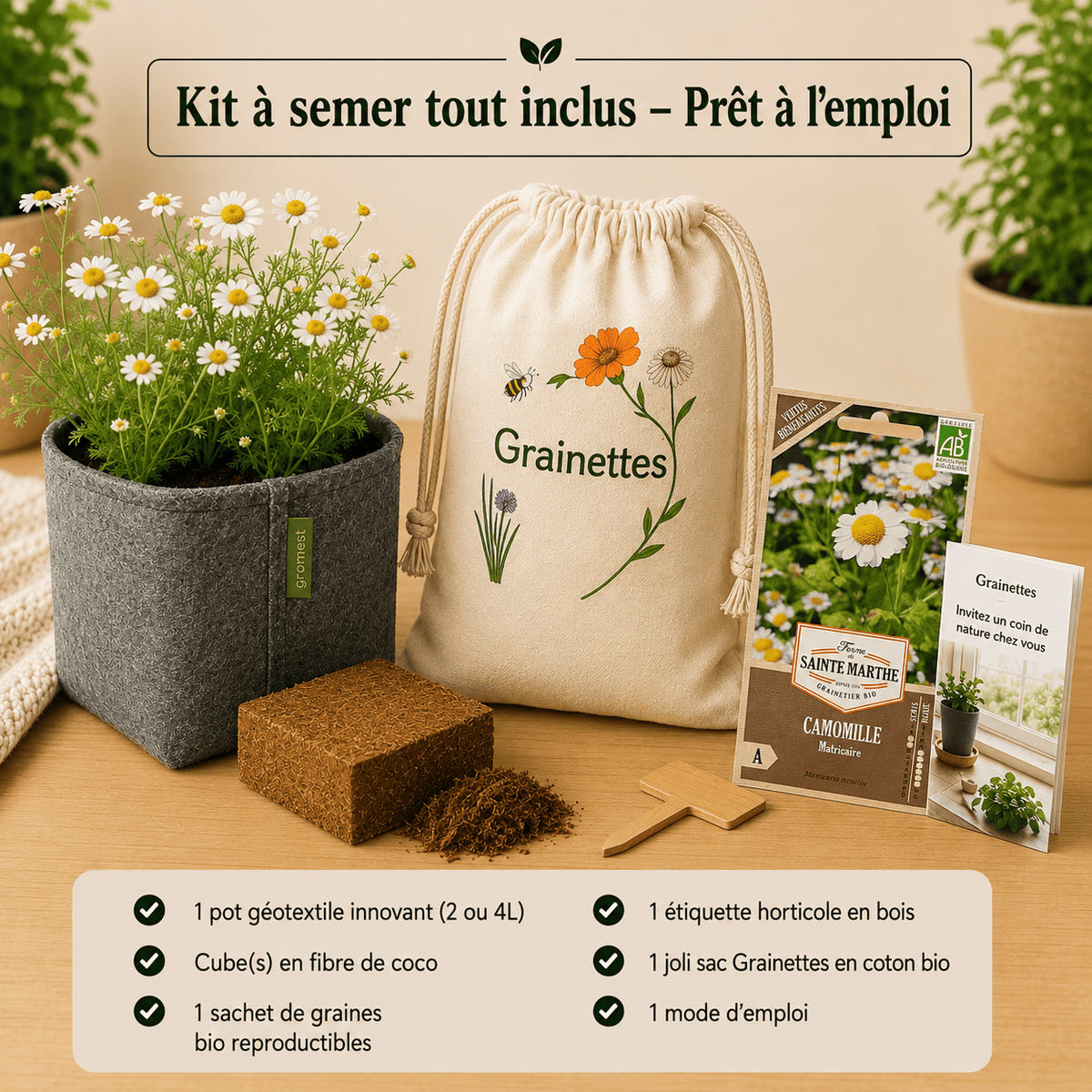 Kit camomille bio