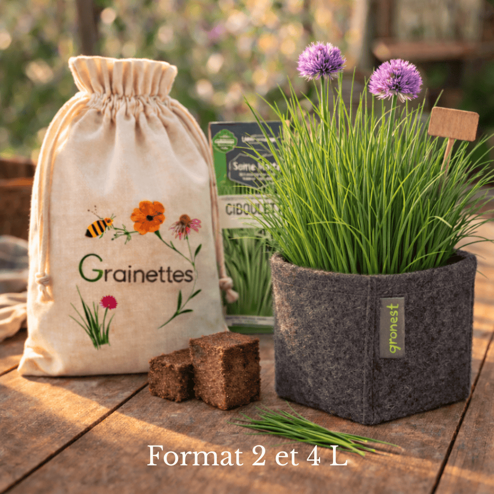  Kit Ciboulette Bio - Herbes Aromatiques 2 L