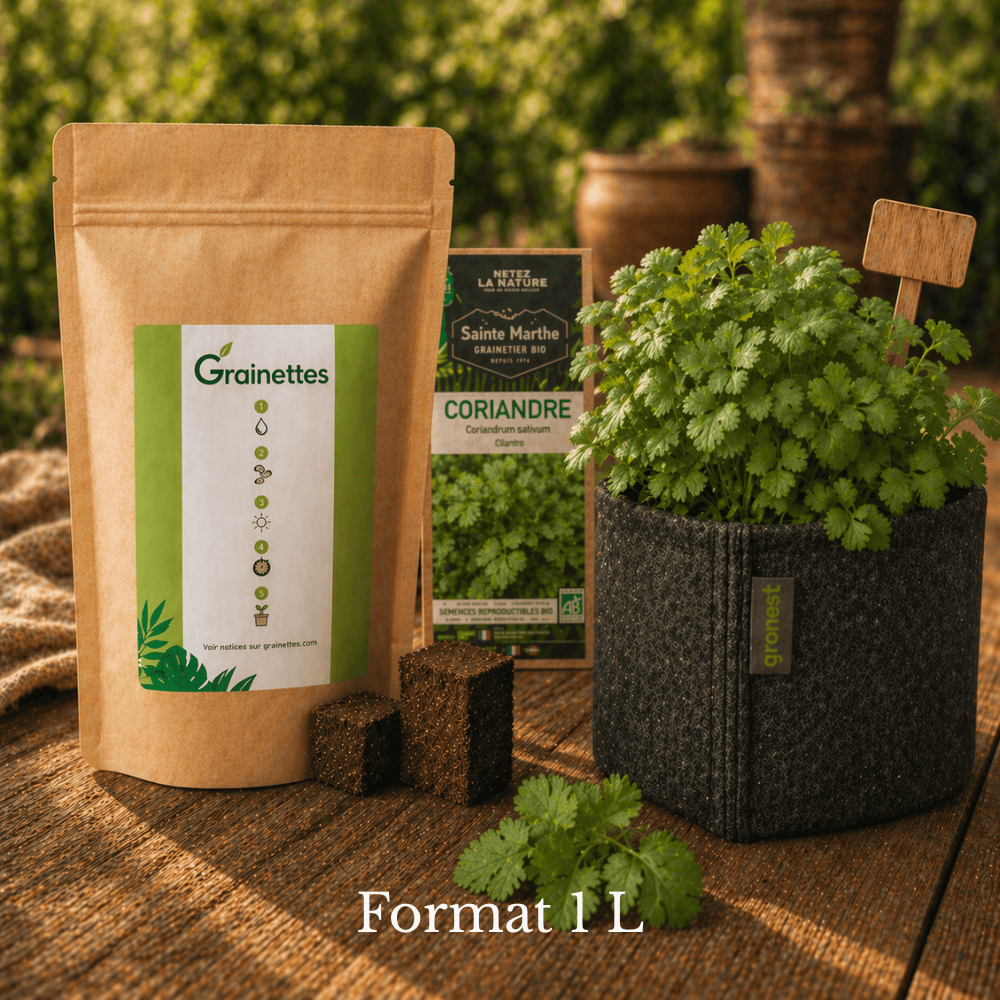 Kit coriandre bio