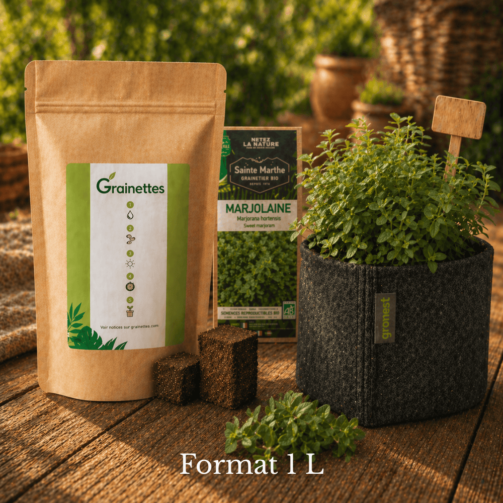 Kit découverte marjolaine bio
