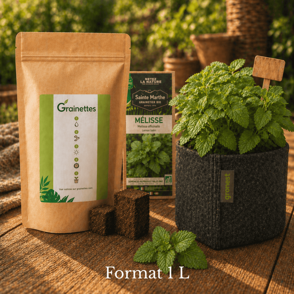 Kit découverte mélisse citronnelle bio