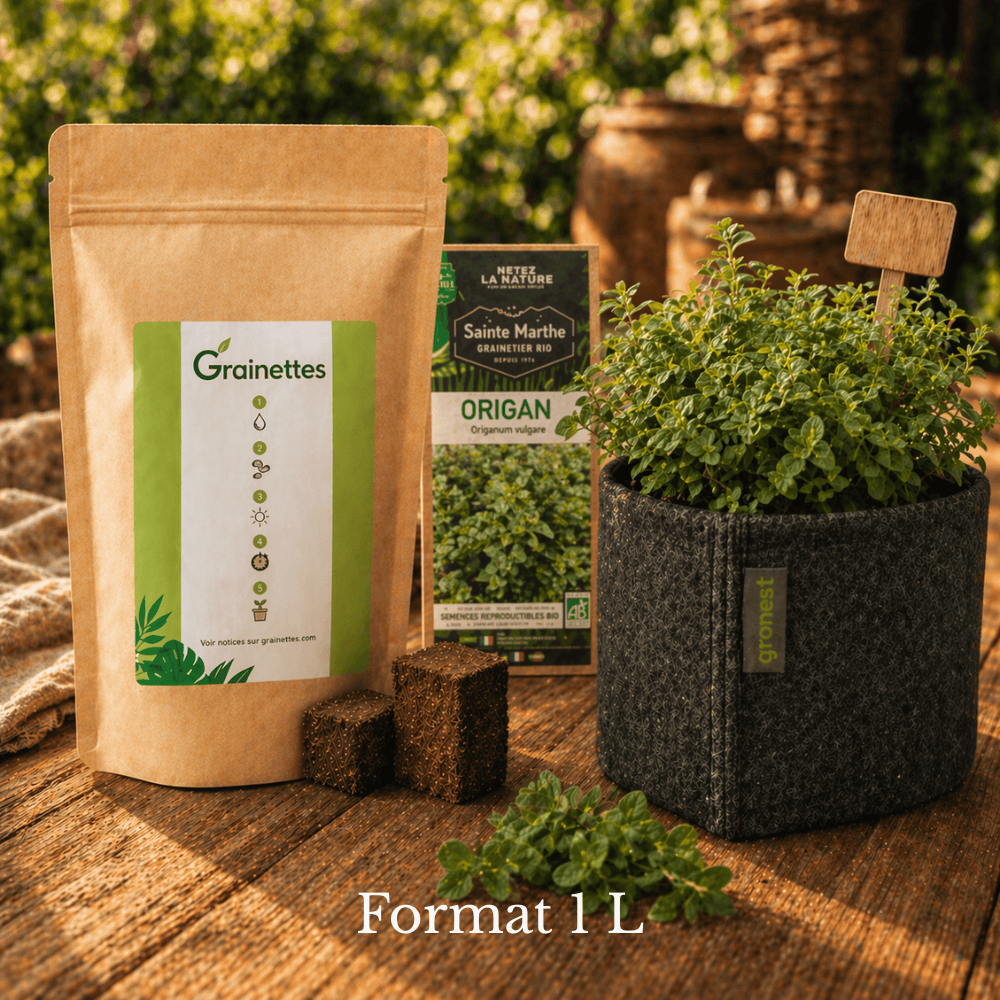 Kit découverte origan bio