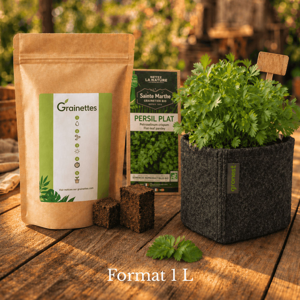 Kit découverte persil plat bio