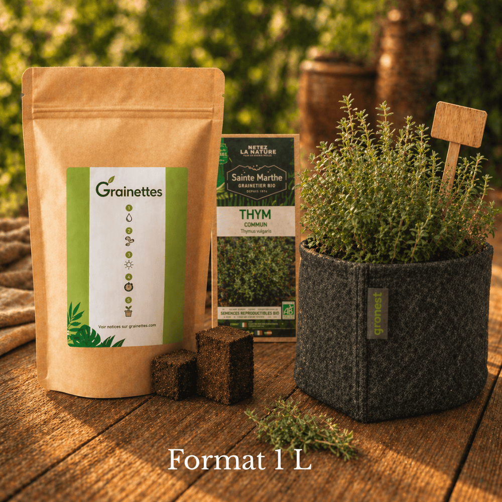 Kit découverte  thym bio 1 L