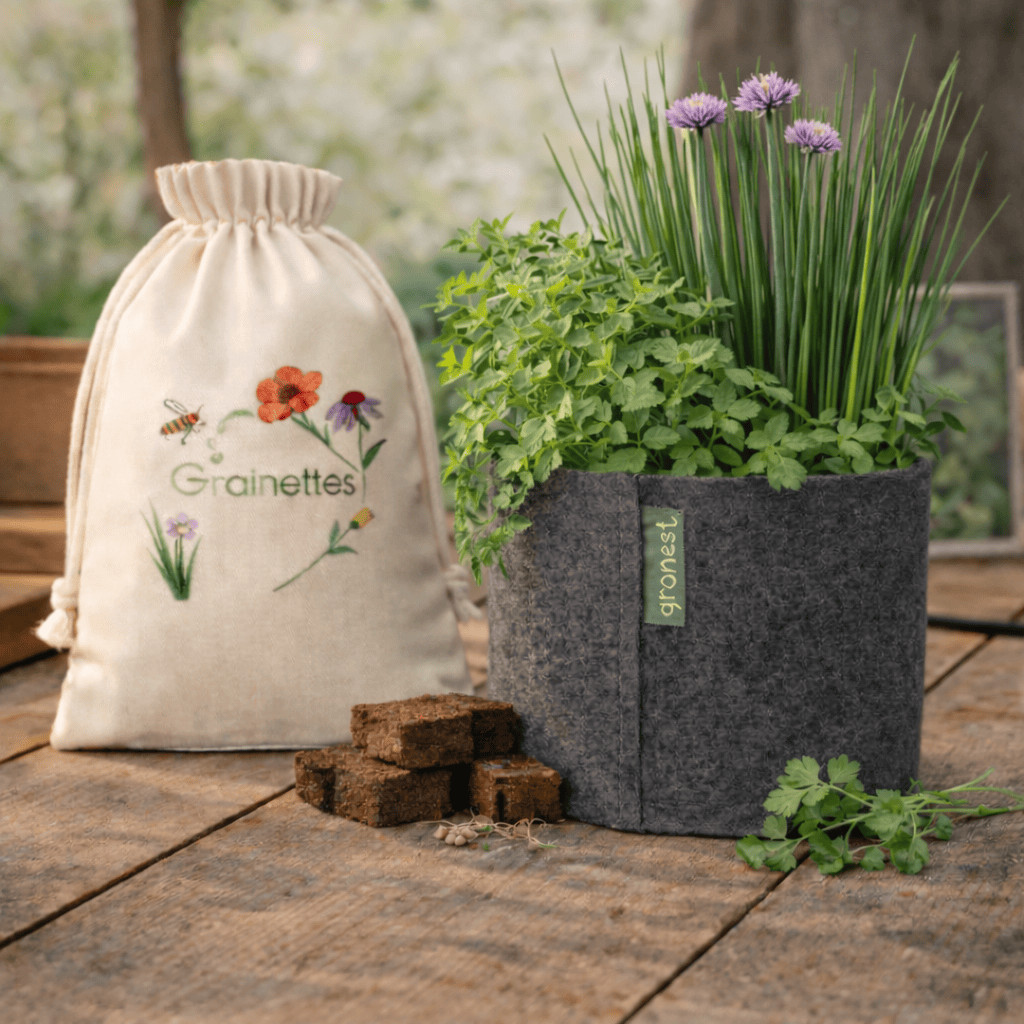 Kit Fraîcheur : Persil plat + Ciboulette 4 L