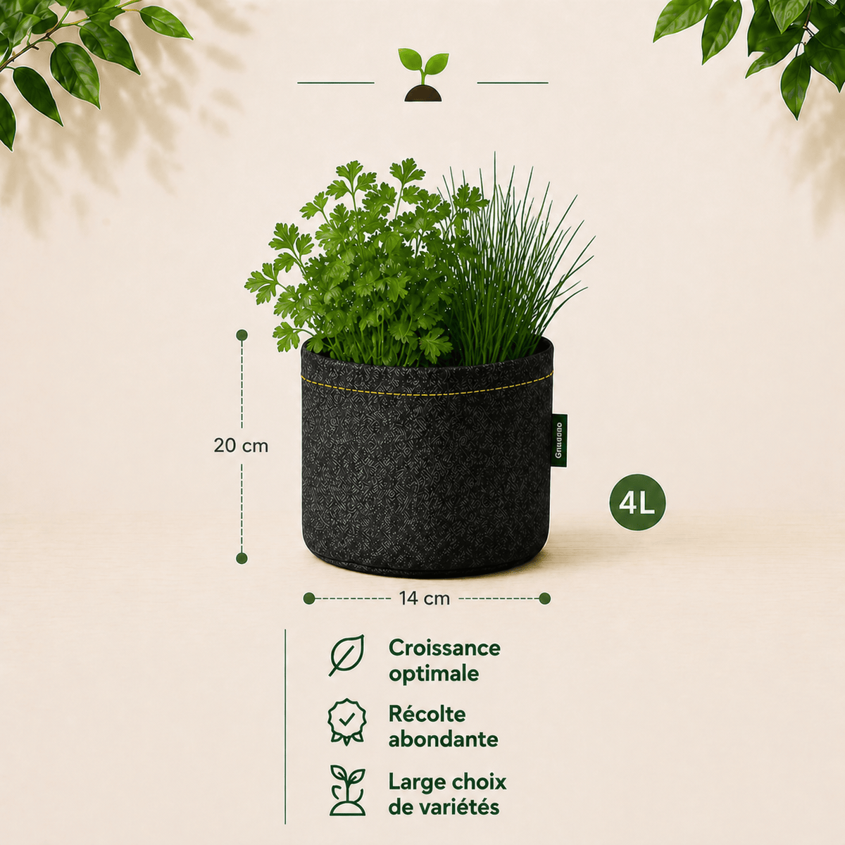 Kit Fraîcheur : Persil plat + Ciboulette 4 L