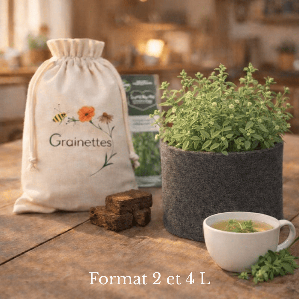 Kit marjolaine bio 2 L