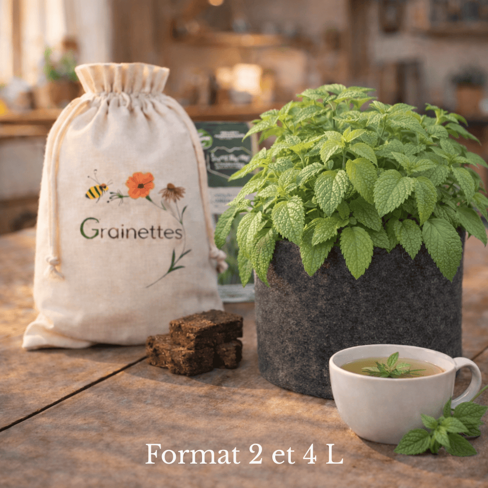Kit Mélisse Bio - Herbes Aromatiques 2 L