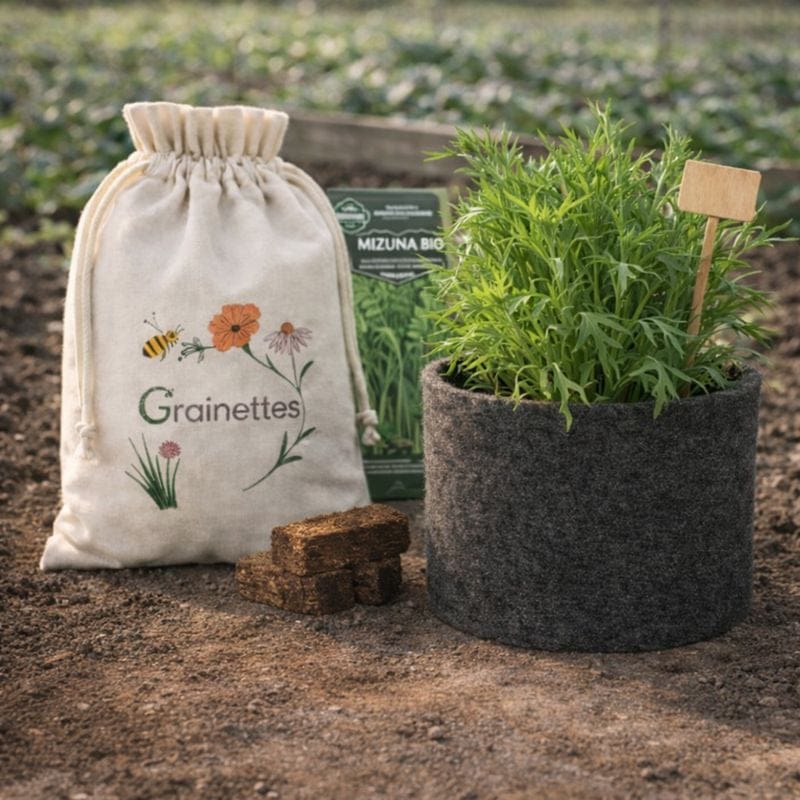 Kit mizuna bio (moutarde asiatique) 4 L