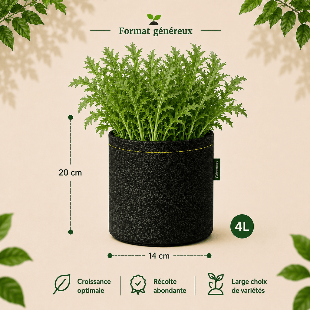 Kit mizuna bio ("moutarde" asiatique) 4 L