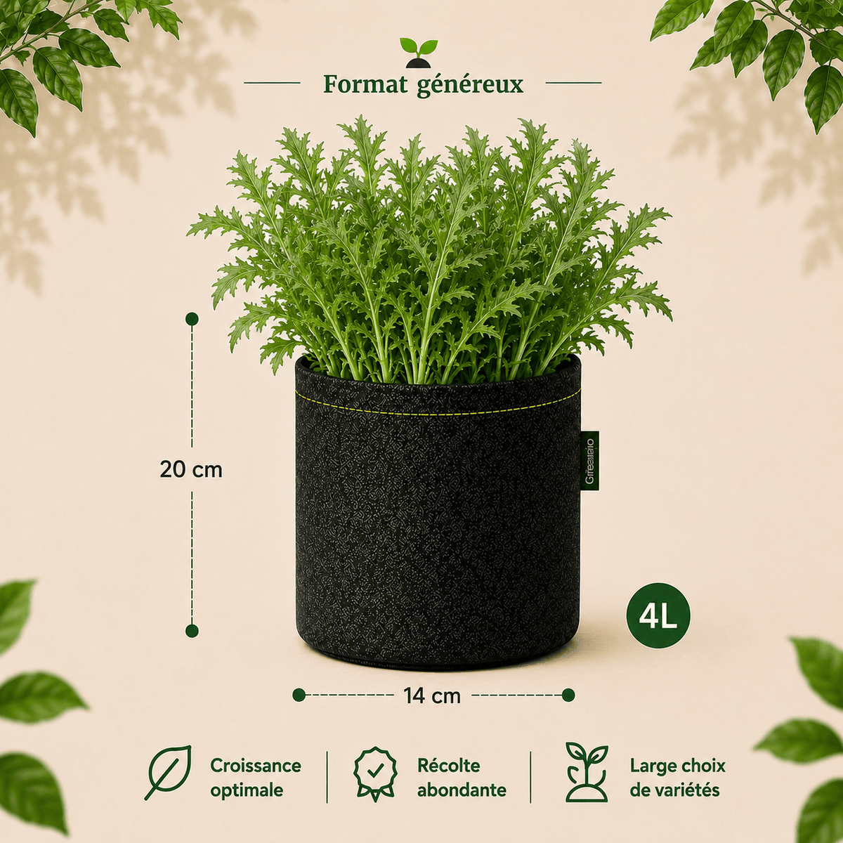 Kit mizuna bio ("moutarde" asiatique) 4 L