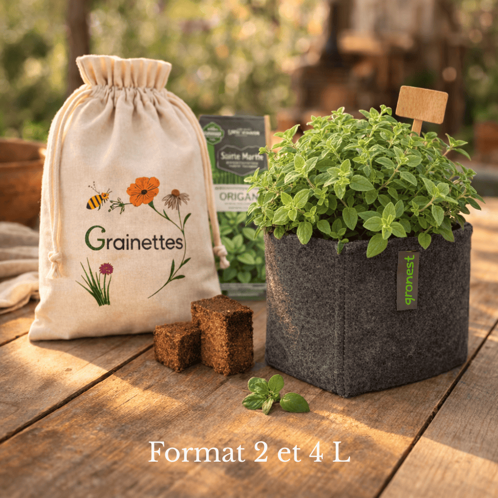  Kit Origan Bio - Herbes Aromatiques 2 L