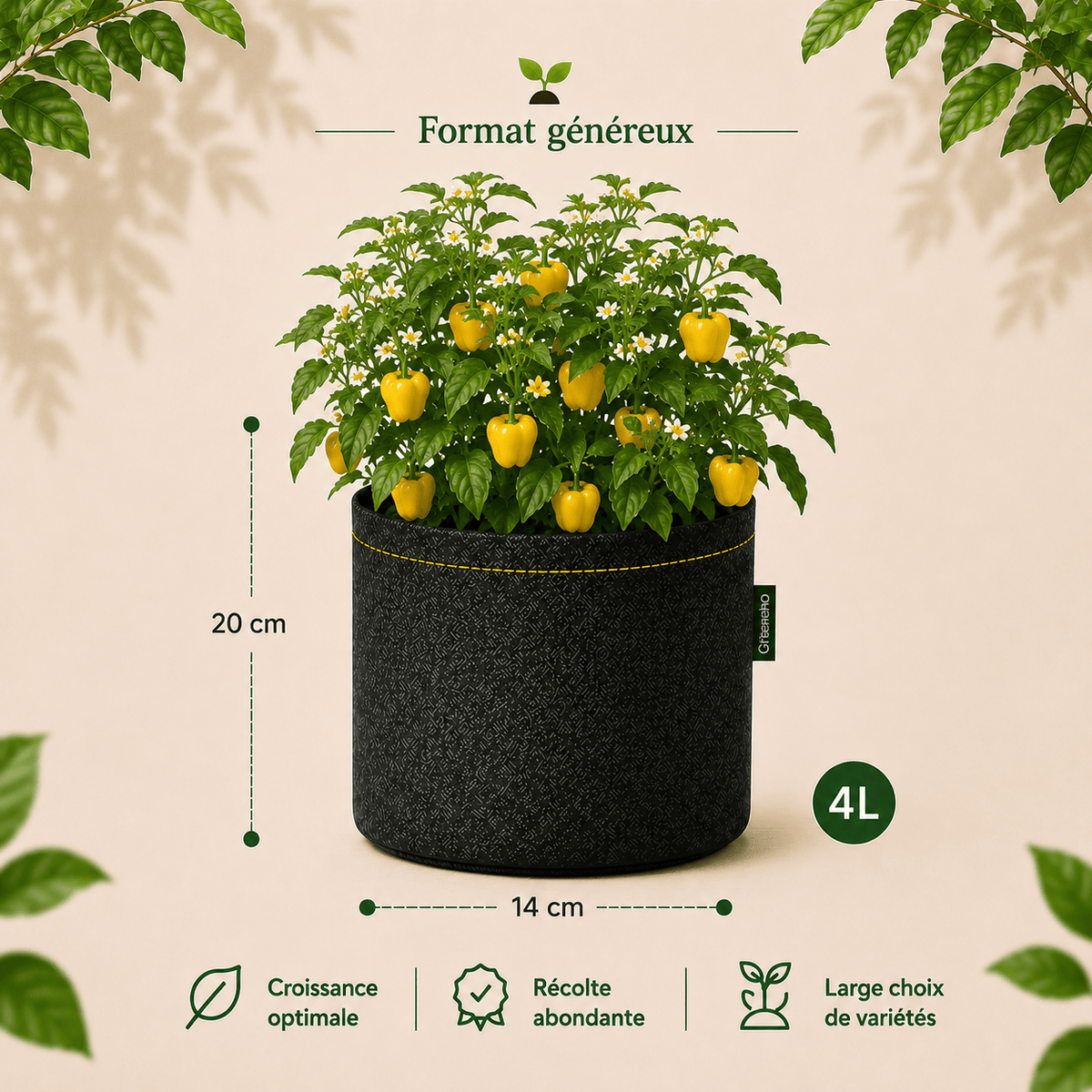 Kit poivron 'mini bell yellow' 4 L