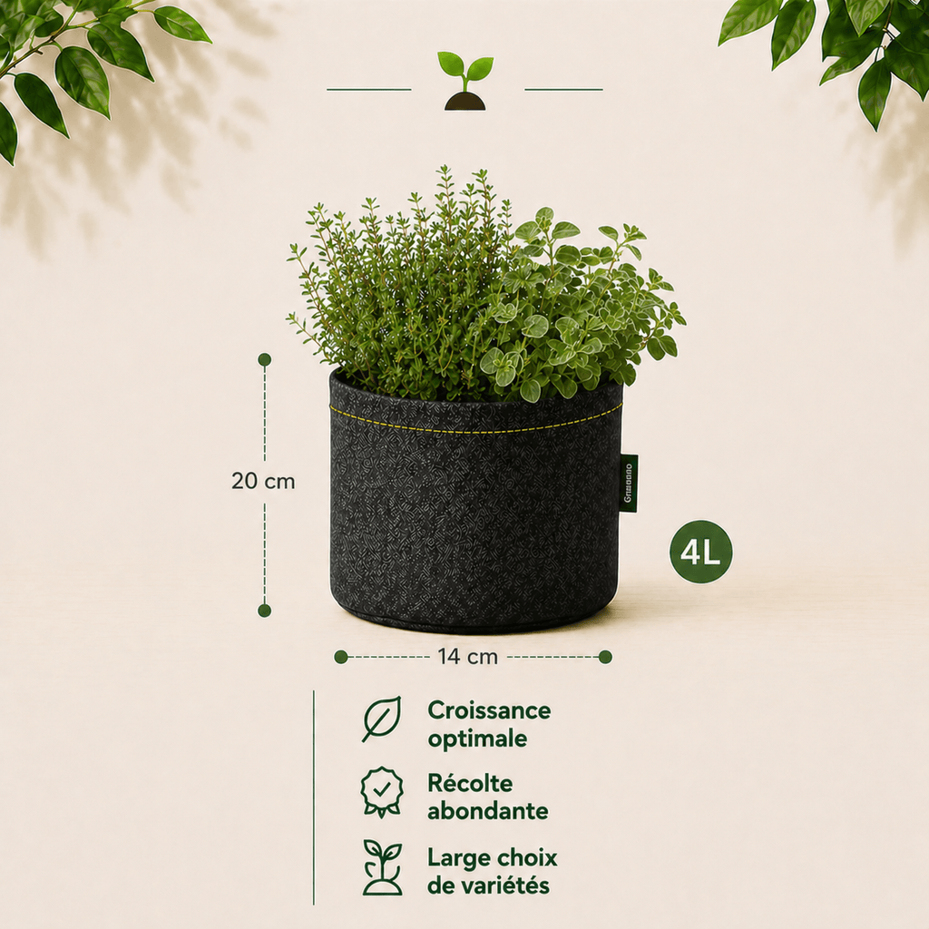 Kit Provence : Thym + Origan 4 L