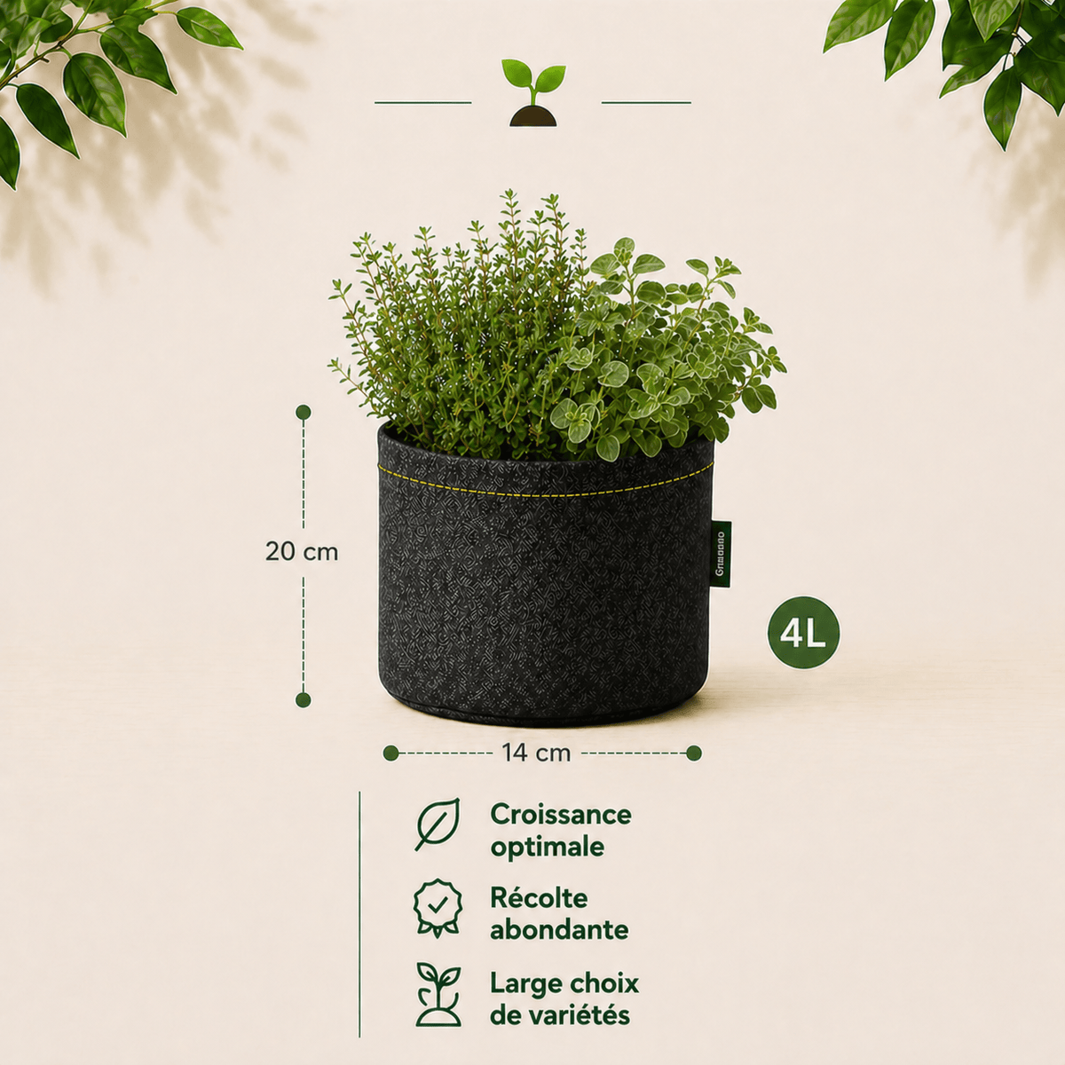 Kit Provence : Thym + Origan 4 L