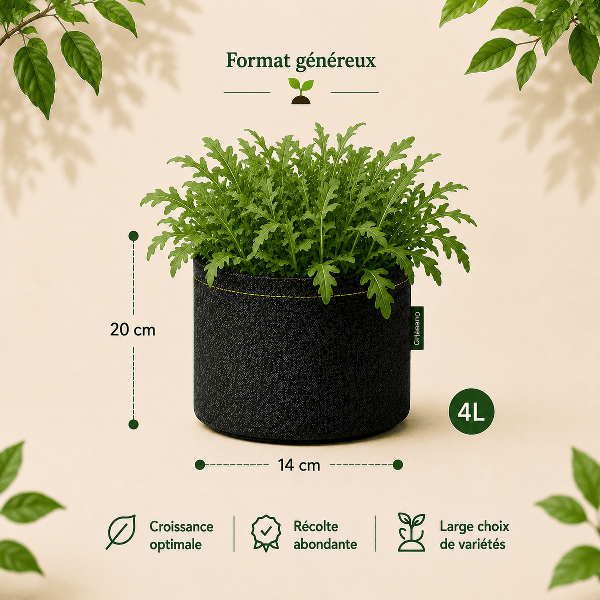 Kit roquette sauvage bio 4 L