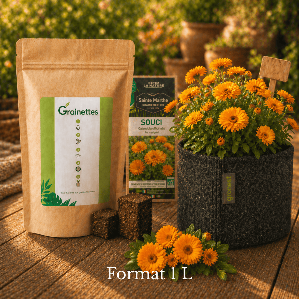 Kit souci/calendula bio