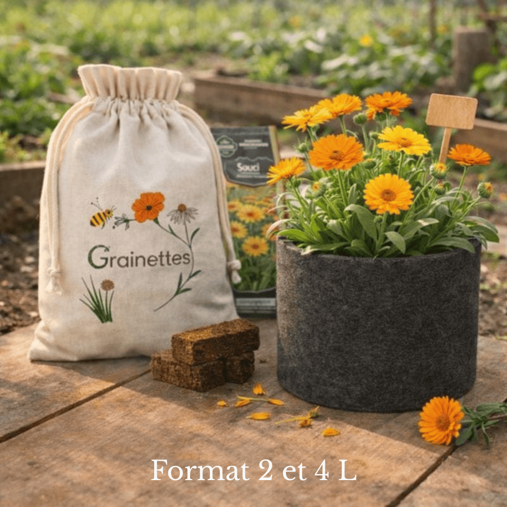 Kit souci/calendula bio 2 L