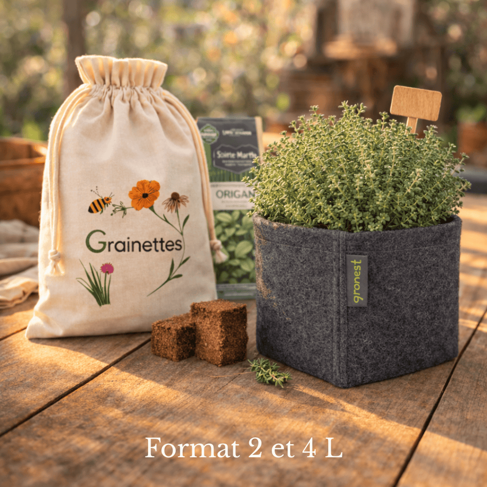  Kit Thym Bio - Herbes Aromatiques 2 L
