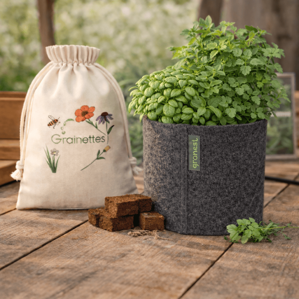 Kit Top cheffe : Basilic nain + Persil plat 4 L