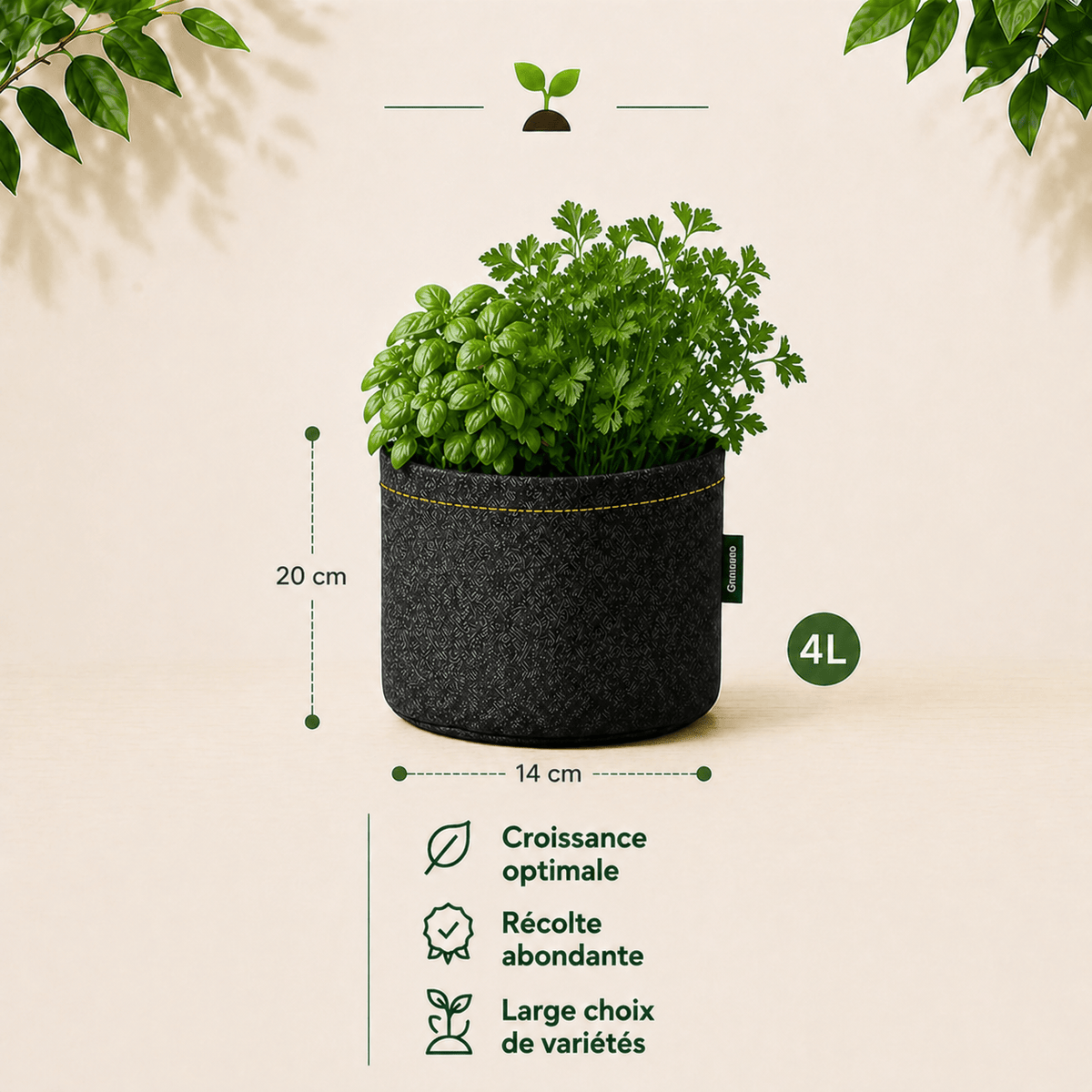 Kit Top cheffe : Basilic nain + Persil plat 4 L